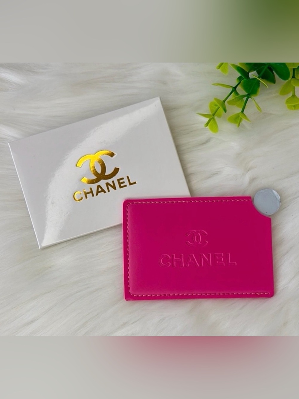 Beauty mirror/card case